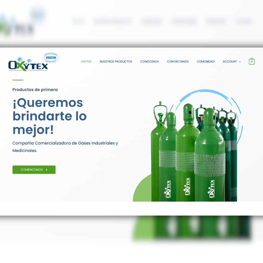 Landing Page & Marketplace en empresa industrial - Galería 1